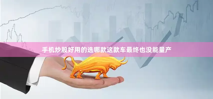 手机炒股好用的选哪款这款车最终也没能量产