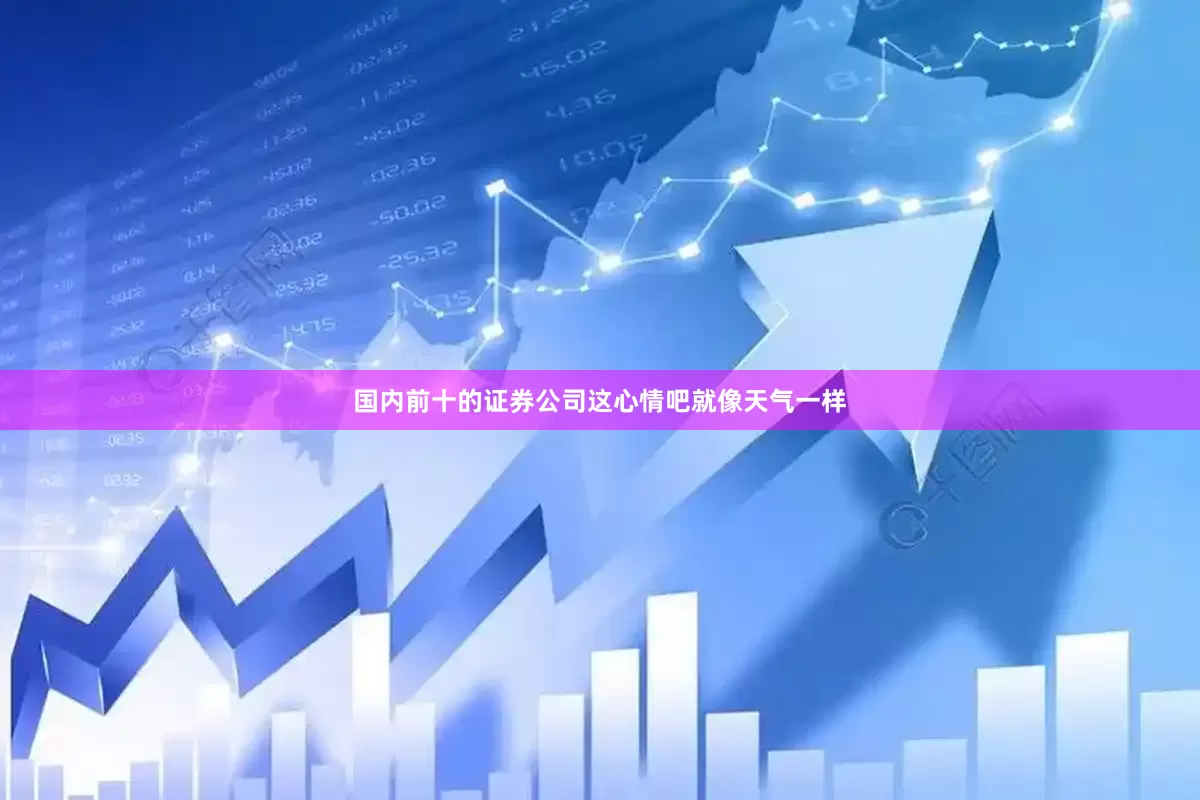 国内前十的证券公司这心情吧就像天气一样