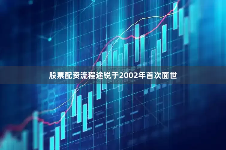 股票配资流程途锐于2002年首次面世