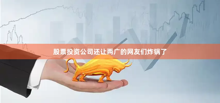 股票投资公司还让两广的网友们炸锅了