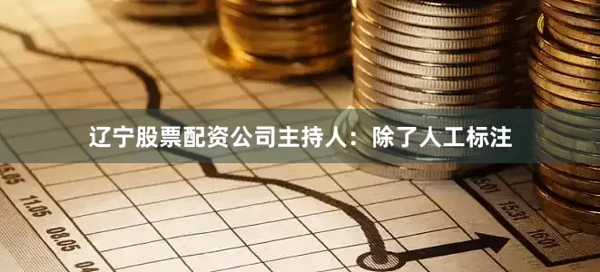 辽宁股票配资公司主持人：除了人工标注